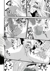 (ComiComi17) [Rakugaki Switch (Youki)] Chichi Utage (Resident Evil)