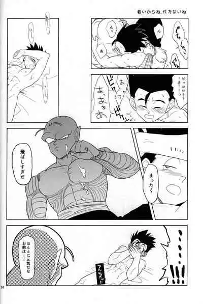 (C95) [Tousoku Chokusen Undou (Pain)] Hakuchuumu (PHan Sairoku Vol. 1) (Dragon Ball Z)