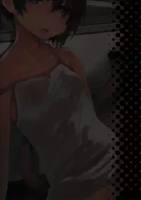 (C90) [Himitsukessya Usagi (Dancyo)] CUSTOMLOVECATs 3rd