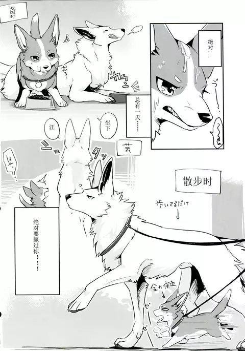 1DK, Bokura to. | 一居室下的我们