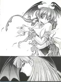 (C52) [RIROLAND (Kuuya, Satomi Hiroyuki)] Kiba to Tsubasa (Darkstalkers, Final Fantasy VII)