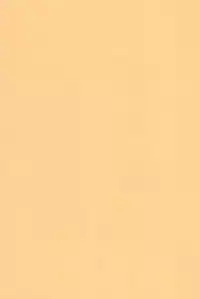 (C74) [Ashinoie (Taryl.)] Hinnyuu Musume 19 (Berserk)