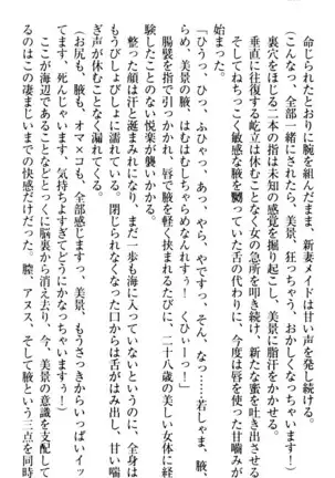 年上メイドの新婚日記