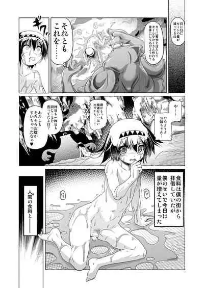 Bouken no Sho Series Soushuuhen - The Adventurer's Book has Perfect. Vol. 1