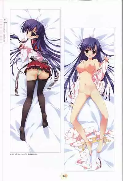 Hoshizora e Kakaru Hash visual fanbook