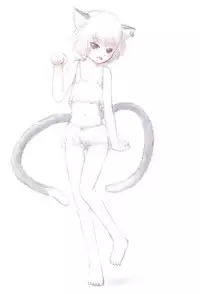 (Reitaisai 13) [Saraband (Shimofusa Saburo)] Chen-chan no Chotto Ecchi na Hon (Touhou Project)