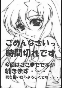 (C69) [L-Calena (Kisaragi)] Nekomanma 5 (Gundam Seed Destiny)