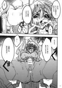 (COMIC1) [PIGGSTAR (Nagoya Shachihachi)] DEFENSEFORM (Various)