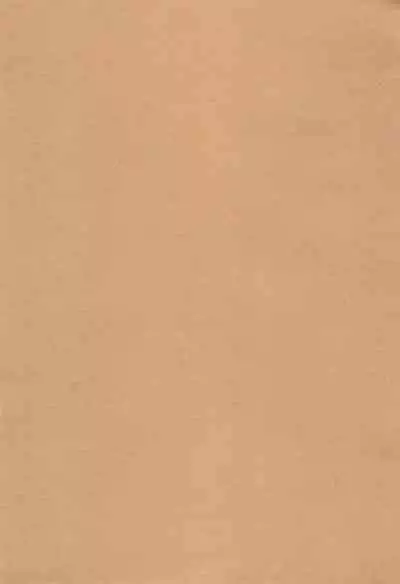 Shujinkou no Koto ga Wayawayawaya Daisuki na Shinyuu de Rival de Koibito to Icha Icha Love Love Ecchi