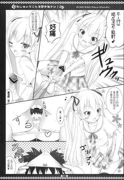 Watashi no Iu Koto o Kikinasai! 2