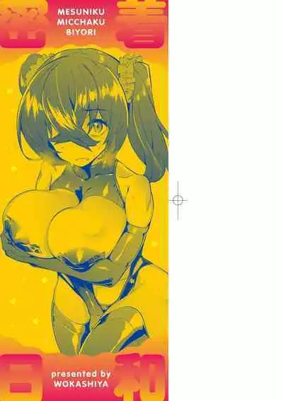 Mesuniku Micchaku Biyori | 美雌肉密着日和