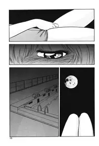 [Company N (Yoshino Shiho)] Gekka Bijin (Neon Genesis Evangelion)