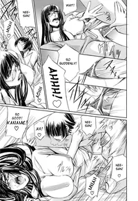 [Nakadera Akira] Kanojo to Ane no Nijuu Rasen | Double Helix of Her and the Older Sister [English] {Sei-Jin}