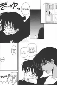 (C63) [Kopikura (Kino Hitoshi, Yokoshima Takemaru)] F.L.O.W.E.R Vol. 03 (Detective Conan) [English] [KageSennin]
