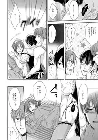 (HaruCC20) [Karaage Of The Year (Karaage Muchio)] Otonamuke Free! no Freedom na Matome 2 (Free!)