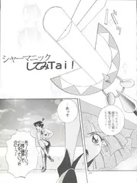 (C51) [F.A (Honoutsukai)] Habat coy 14 (Mahou Tsukai Tai, Shamanic Princess, Neon Genesis Evangelion)