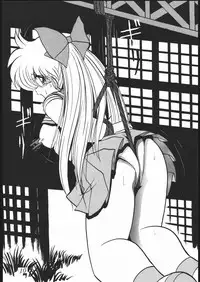 (C55) [Studio Z-AGNAM (Wing Bird)] DOGAKOMUSUME EX BOMBER MOON (Sailor Moon)