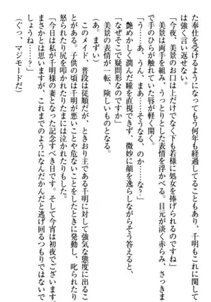 年上メイドの新婚日記