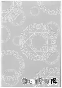 (C88) [Marchen Box (OKINA, ZAN, Shiran Takashi)] Nano-para 14 (Mahou Shoujo Lyrical Nanoha)