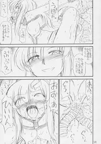 (C70) [EINSATZ GRUPPE (Charlie Nishinaka)] PRISONER 8 Miserable Birds (Gundam SEED DESTINY)