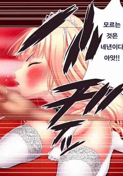 Niku Omocha ni Ochita Hime Ridia