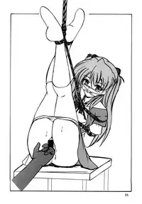 (COMIC1☆4) [Thirty Saver Street 2D Shooting (Maki Hideto, Sawara Kazumitsu, Yonige-ya No Kyou)] Second Uchuu Keikaku 6 (Neon Genesis Evangelion)