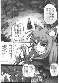 (C76) [Kacchuu Musume (Hisahiko, Shimamoto Harumi)] Smalt Leather (Spice and Wolf)