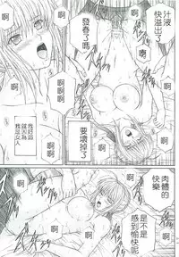 [KUSARI (Aoi Mikku)] Dorei Kishi II (Fate/stay night) [Chinese] [逆襲漢化]