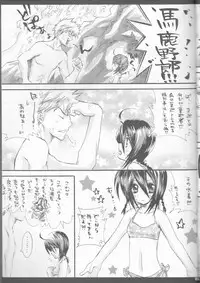 (C70) [PONCHEES (KARI) (Irohane Sui)] Rukia Kuchiki Minimum Maniax File (BLEACH)