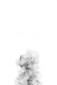 (Meikasai 2) [Points (HAM)] Zero degrees centigrade (Touhou Project) [Chinese] [迷途竹林汉化]