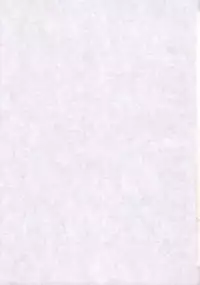 (CR26) [Tomoyosama (Kayama Akihiro, Ozawa Hiroe)] Tomoyo no Koi Sakura no Omoi (Card Captor Sakura)