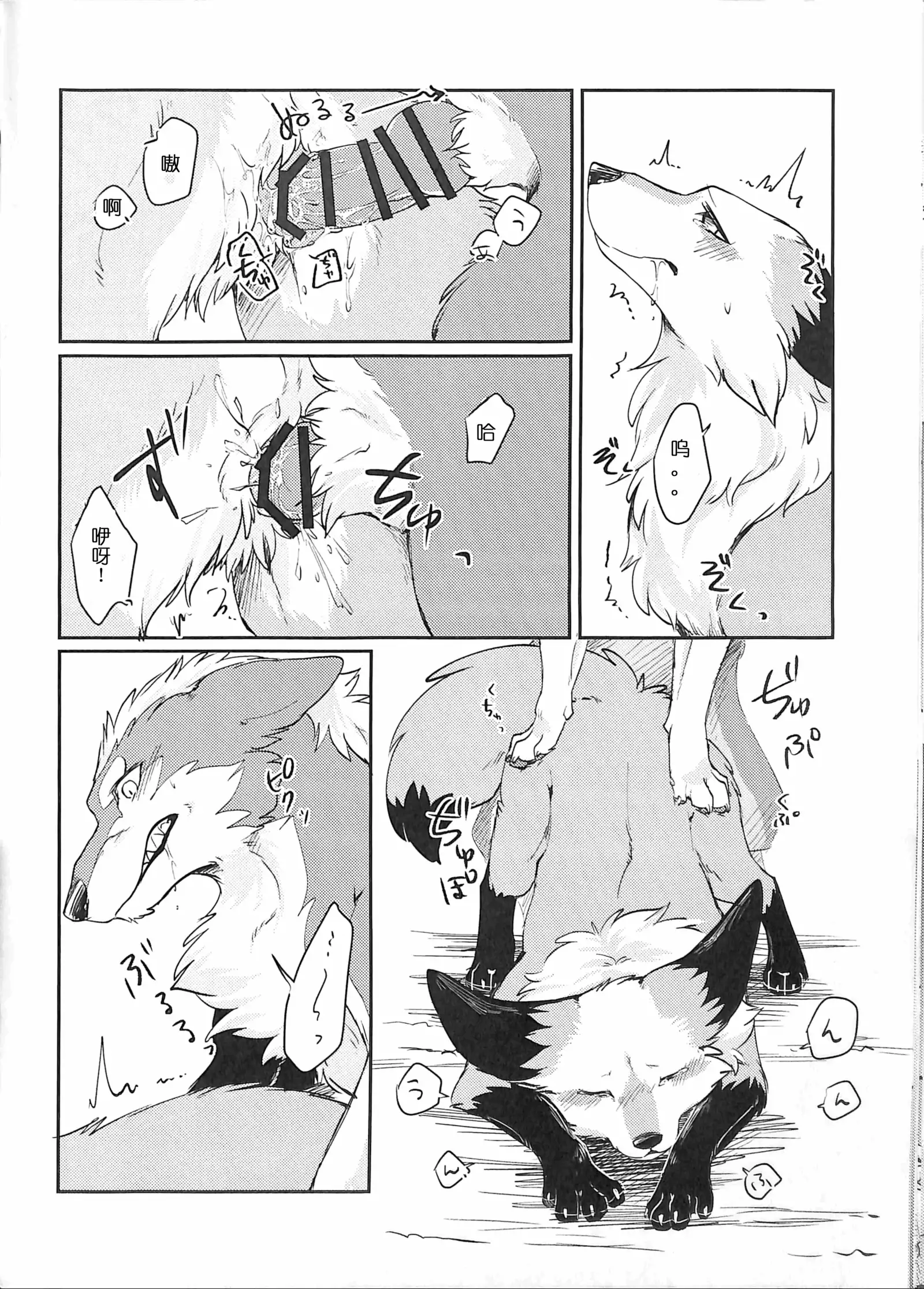 Yume Utsutsu Lovage | 林间小夜曲