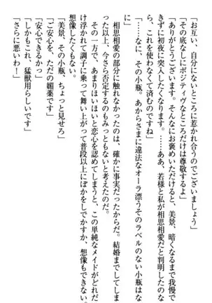 年上メイドの新婚日記