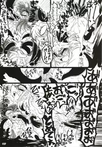 もっと染まって、鬼灯色に。(東方Project)