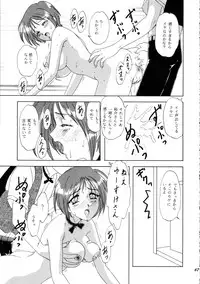 [Chandora, Lunch Box (Makunouchi Isami)] Lunch Box 36 - Ninjin Full Course (Pia Carrot)