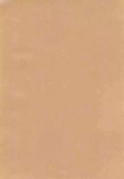 Shujinkou no Koto ga Wayawayawaya Daisuki na Shinyuu de Rival de Koibito to Icha Icha Love Love Ecchi