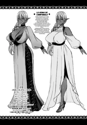 Inka -Nikuyoku ni Aragaenai Karada- + C90 Kaijou Genteibon | Flor de Lujuria- Los Deseos Irresistibles de Carne