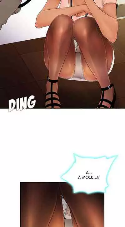 The Stand-up Guy Ch.56/56