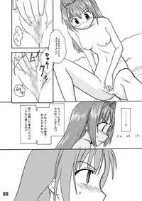 CompositionMIX 2006-2007