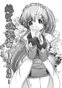 [Studio Wallaby (Takana Yu-ki)] SECRET FILE NEXT 9 - Space of Despair (Gundam Seed) [Digital]