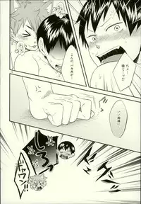 (C88) [Parade (Isoya Kashi)] Ore no Kareshi ga Inu ni Toritsukaremashite. (Haikyuu!!)