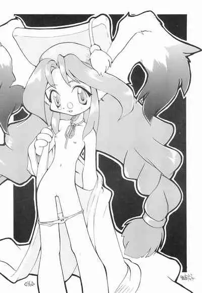 CAPCOM CONSUMER COLLECTION