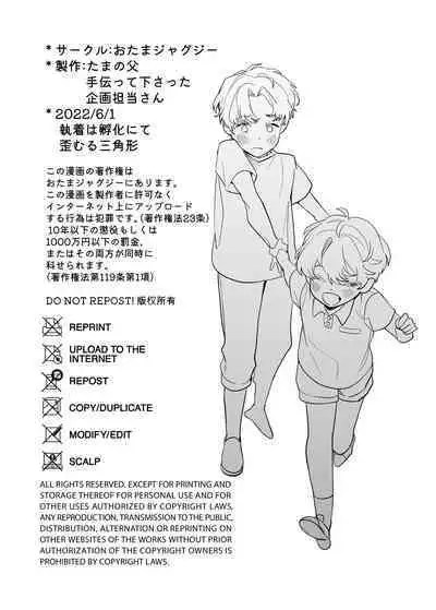 Shūchaku wa fuka nite yugamuru sankakkei|由执着孵化而生的扭曲三角