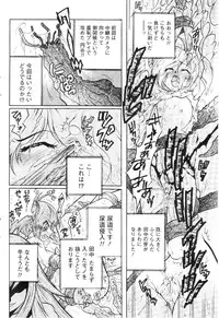 Comic Papipo 2005-07