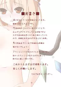 (C78) [Arysuivery, Chiyohan (Ayakase Riberi, Chiyoko)] Flandre no Kaihou (Touhou Project)