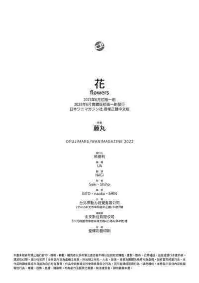 Hana flowers | 花 flowers