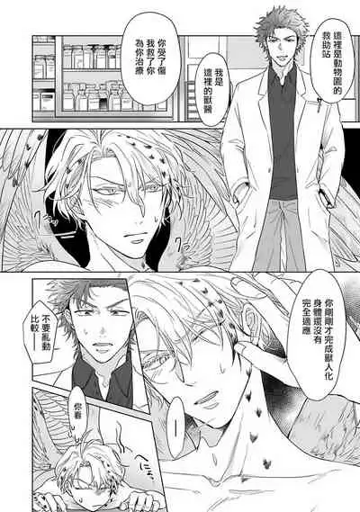 Fukurou no Koiwazurai | 猫头鹰的相思病