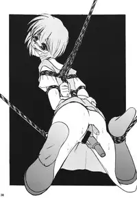 [Thirty Saver Street 2D Shooting (Maki Hideto, Sawara Kazumitsu)] Second Hobaku Project 2 (Neon Genesis Evangelion) [Digital]