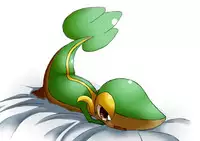 ARTIST さいであ【Cidea