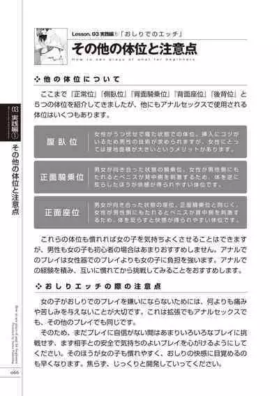 いますぐデキる 図説おしりエッチマニュアル